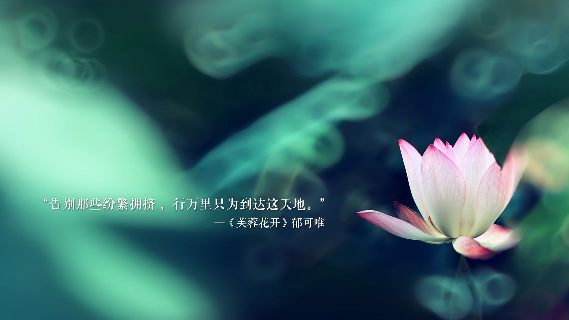 “校园足球联盟成立，共同推动青少年足球发展”，校园足球联赛好处