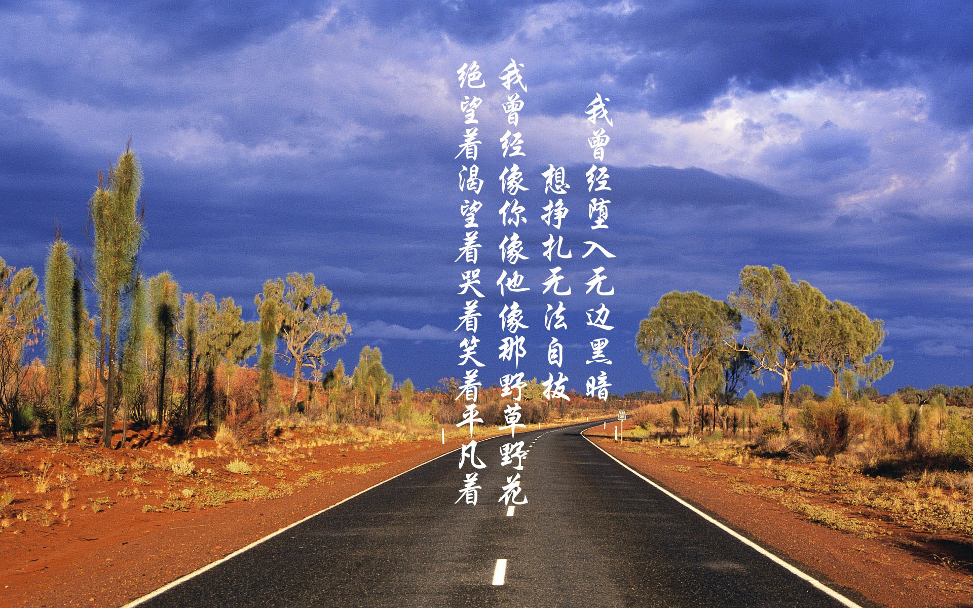 夜空下的星光骑行，浪漫又刺激的运动体验，夜晚骑行的简单说说