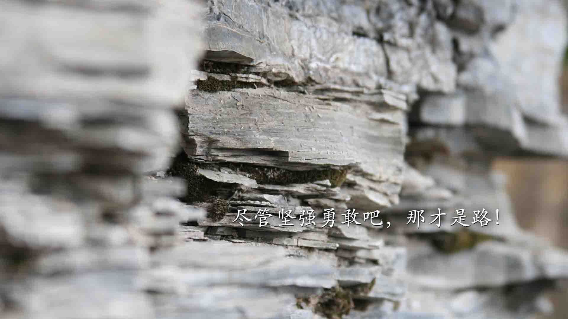 华体会登陆-落败中的希望:败者也有赢的理由!,落败的唯美完美解释