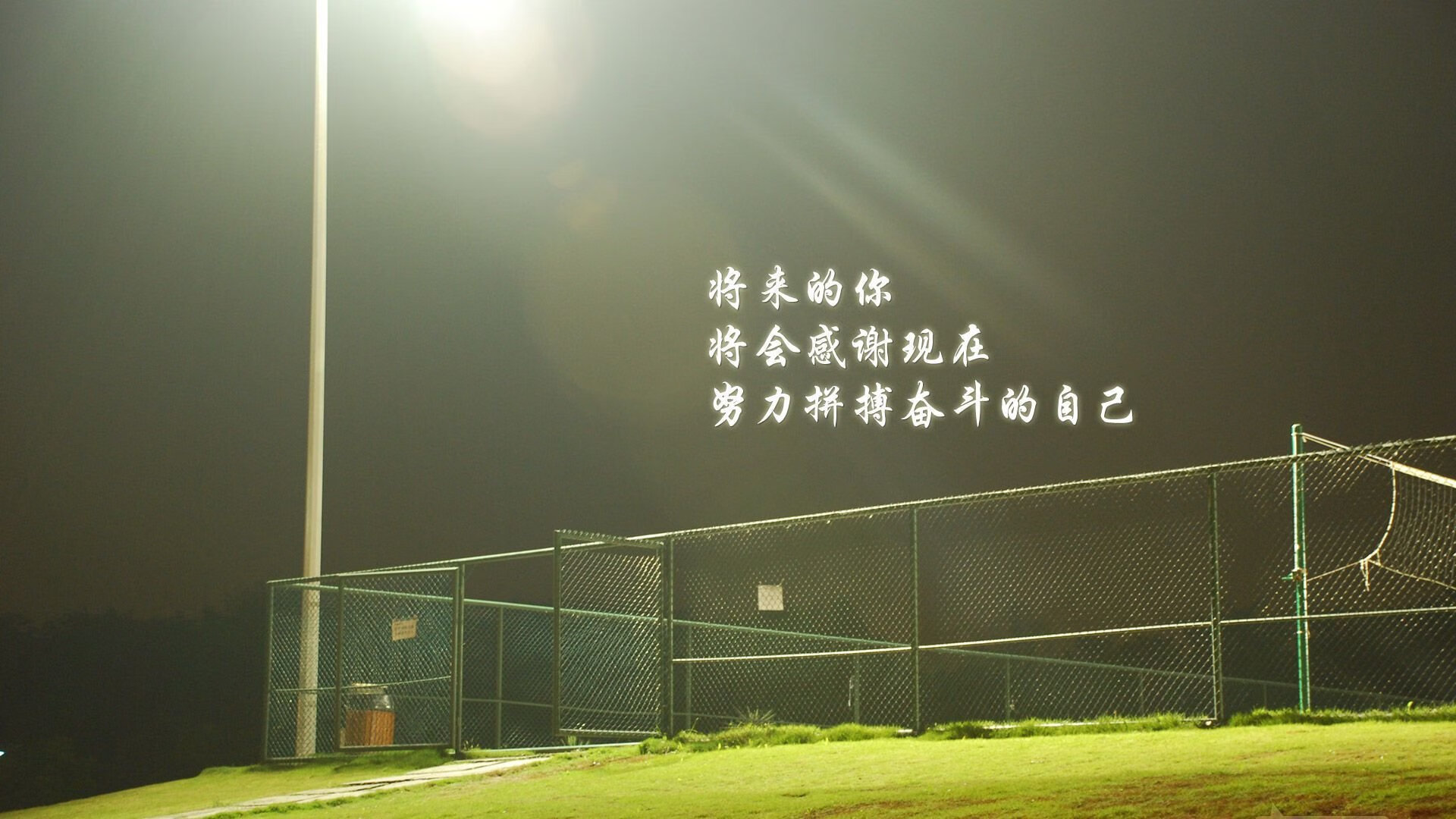 西班牙青少年骑手在世界青少年马术锦标赛中获得团体金牌，展现国家实力。