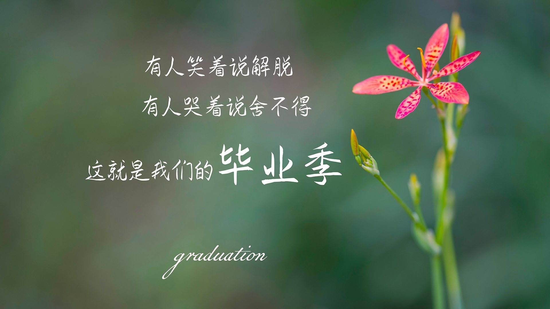 利物浦在欧冠小组赛中全胜晋级，利物浦欧冠比赛