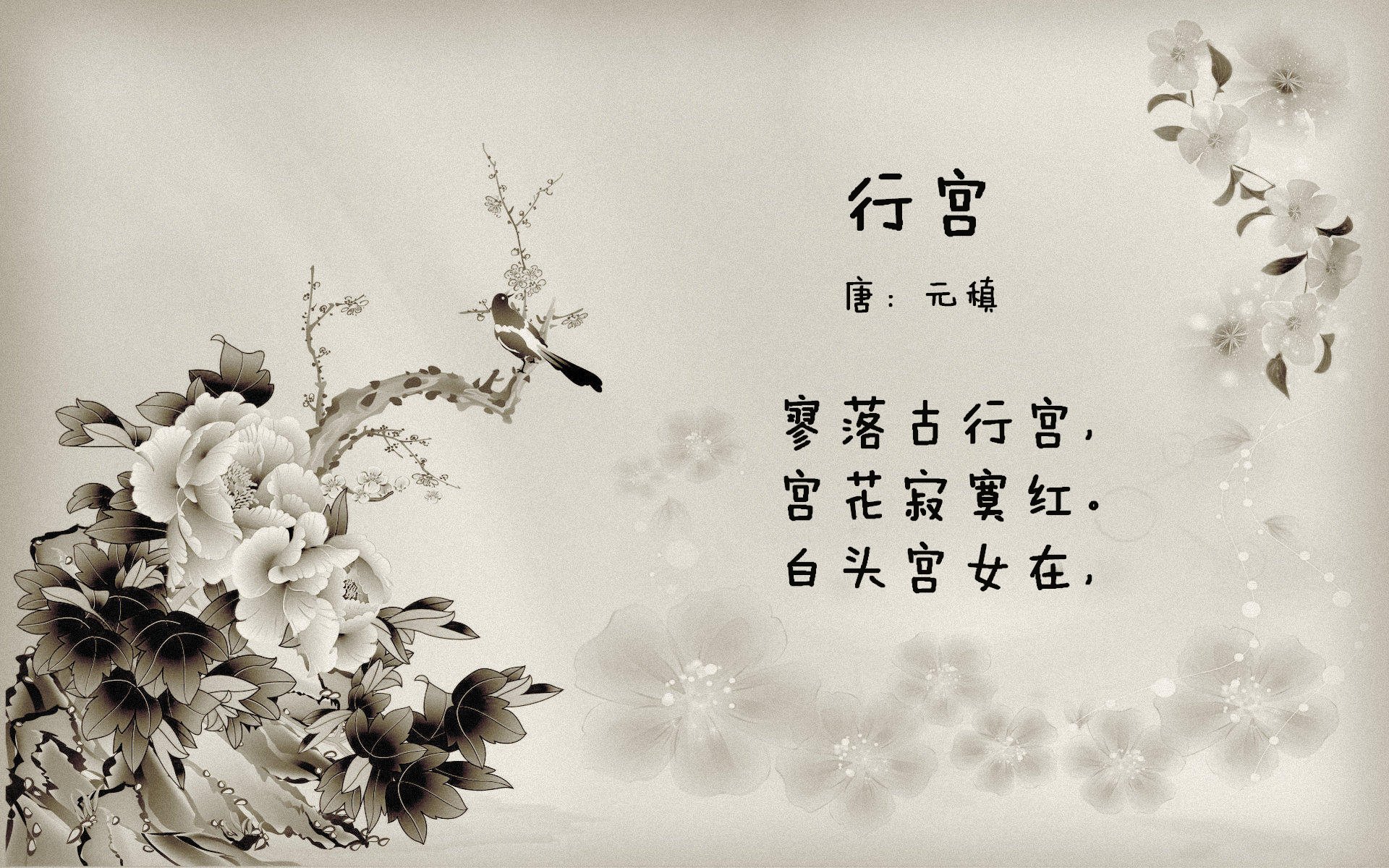 扎马莱克签约新外援，增强防守实力，马扎克lg