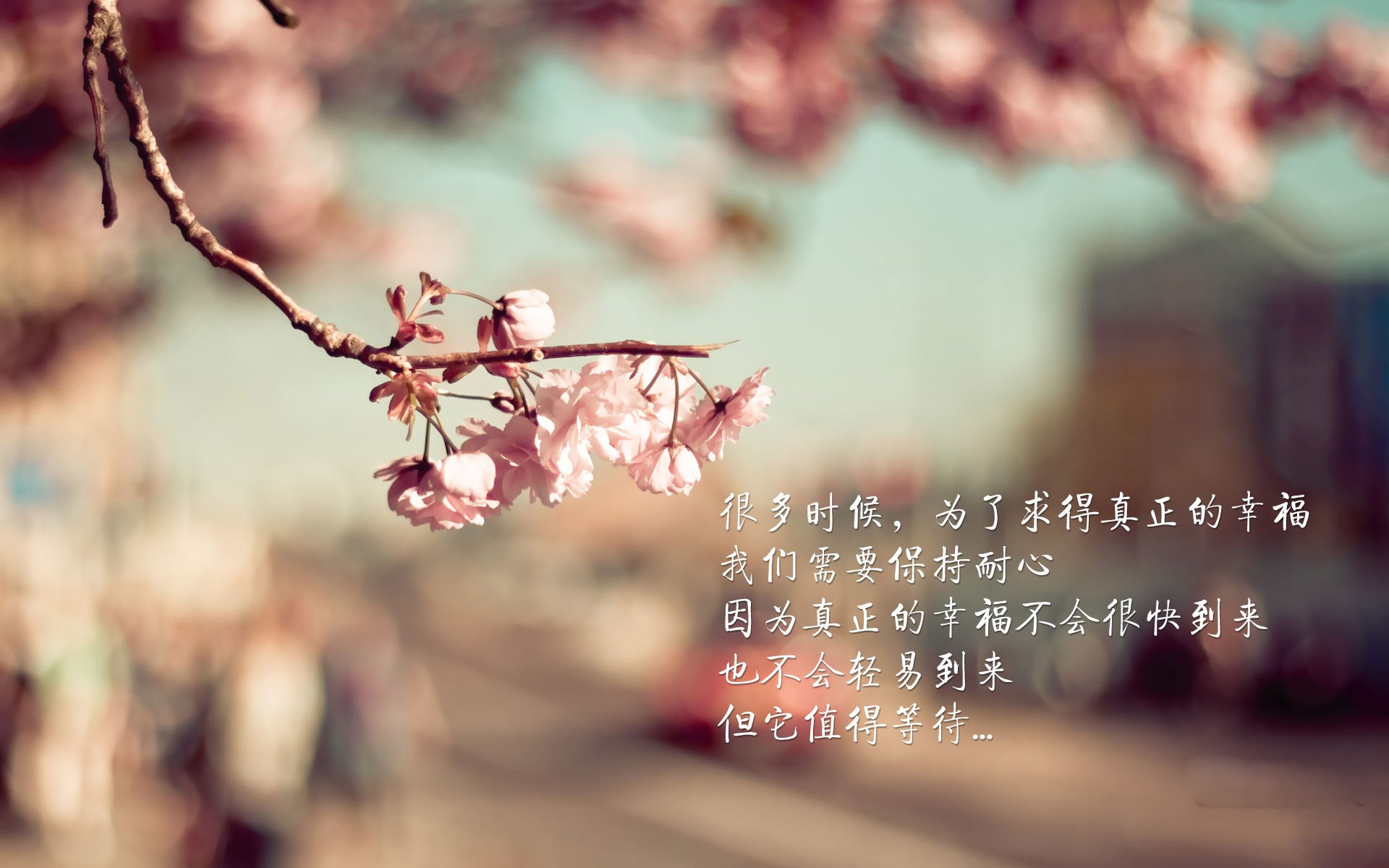 华体会手机在线-全国男子拔河锦标赛冀鲁激烈鏖战，中国拔河队2018视频